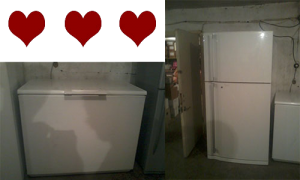 A distribution to Nork Orphanage of a freezer and a refrigerator