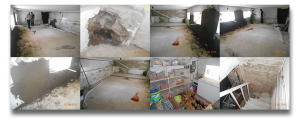 Beginning of basement renovations OLA-Tashir